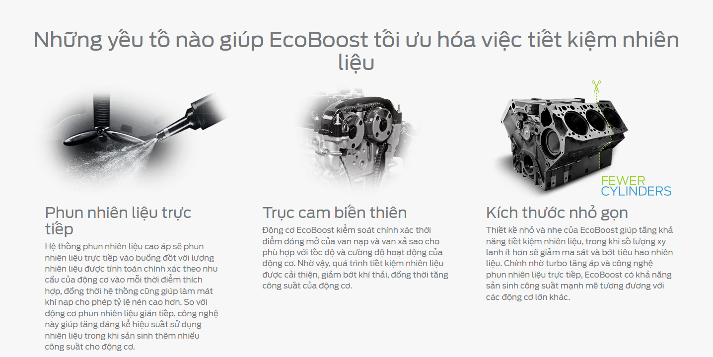 ecoboots